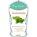 hortensia PNG