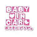 BABY IN CAR WORD2007