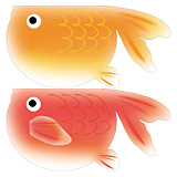 金魚（赤）3