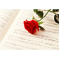 赤いバラと楽譜