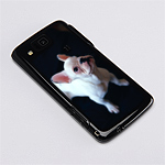 AQUOS PHONE IS13SHのメイン画像